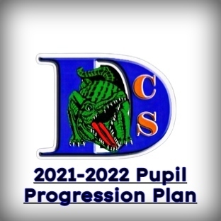 Pupil Progression Plan
